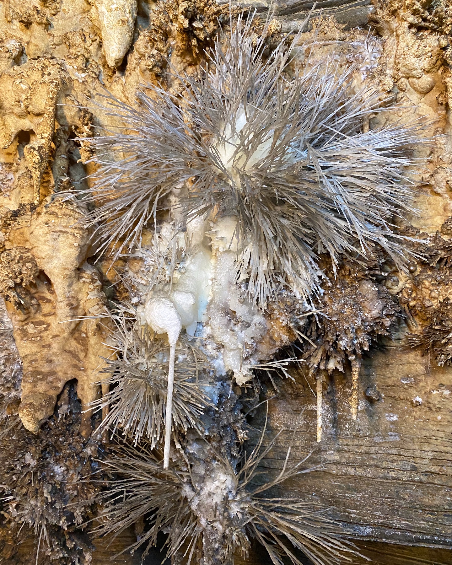 Formações raras da Caverna Torrinha